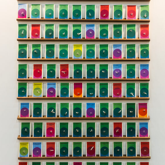 Gonzalo Lebrija b. 1972, Mexico Libros baleados, 2015 100 shot books on shelves 71⁄4 × 5 inches (each)