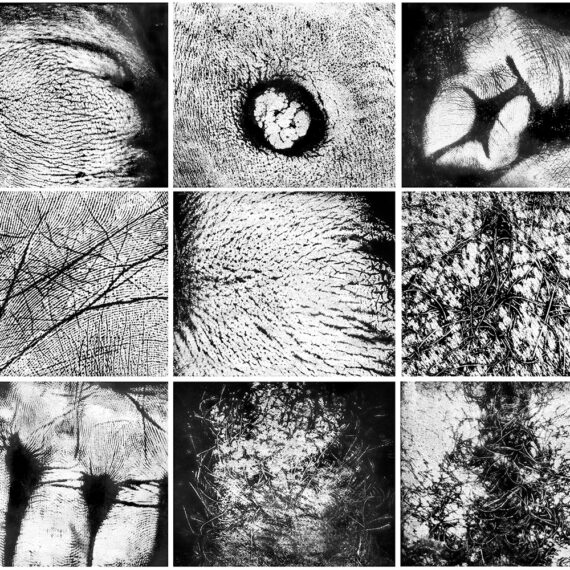 Vera Chaves Barcellos (b. 1938, Brazil) Epidermic Landscapes, 1977–2023 Nine inkjet prints on Hahnemühle paper, ed. of 5 + AP