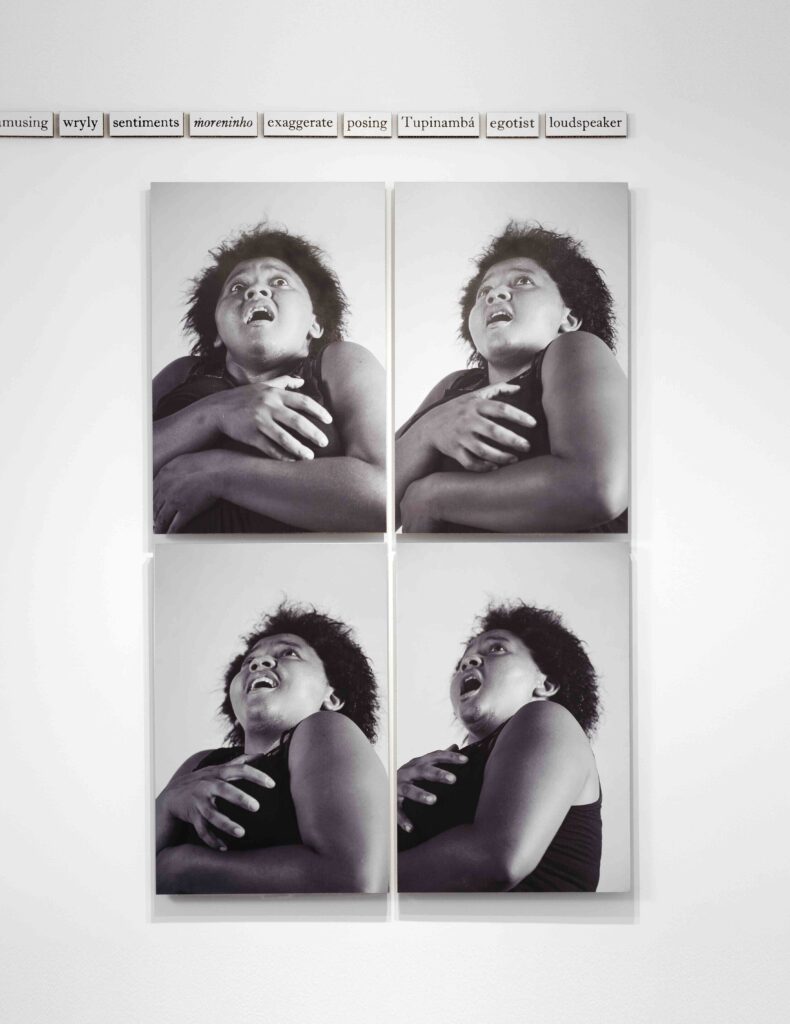 Jonathas de Andrade b. 1982, Brazil Eu, mestiço, 2017 UV prints on Falconboard Dimensions variable