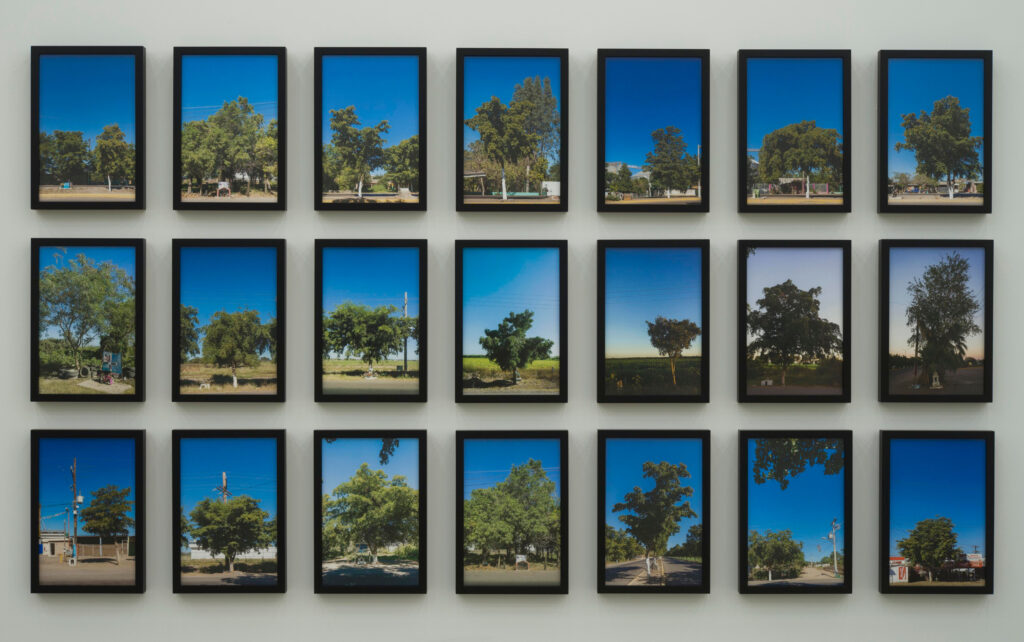Teresa Margolles b. 1963, Mexico 40 km, 2014 21 C-prints 12 × 16 inches (each)