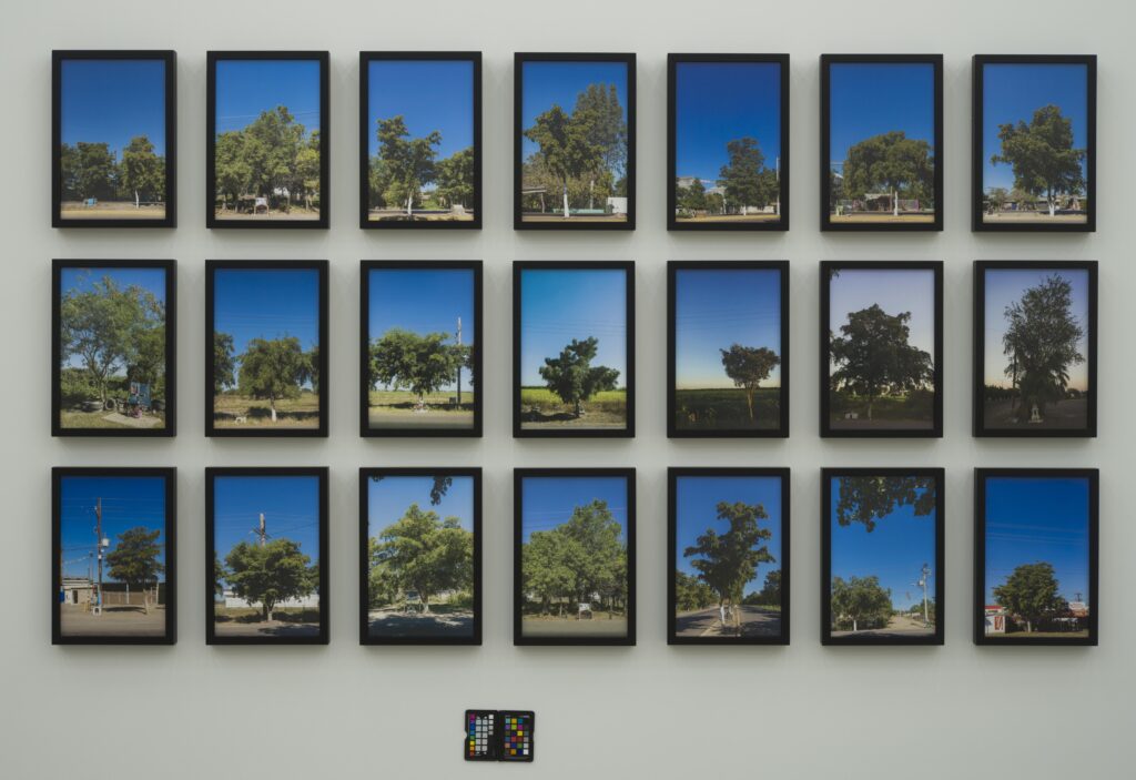 Teresa Margolles b. 1963, Mexico 40 km, 2014 21 C-prints 12 × 16 inches (each) 