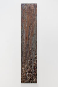 Larry Poons (b. 1937, United States) Drury (80C-15), 1980 Acrylic on canvas