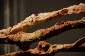 Juliana Góngora (b. 1988, Colombia) Techo de leche y tierra, 2018–19 Cabuya fiber and 93 sticks coated in dirt and milk