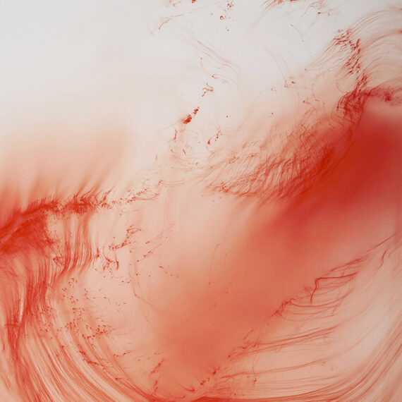 Wolfgang Tillmans (b. 1968, Germany) Freischwimmer 114, 2007 Chromogenic print in artist’s frame