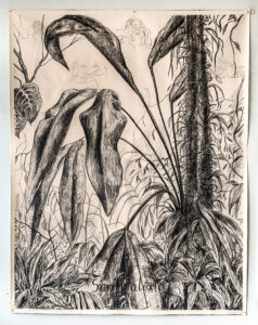 Nohemí Peréz (b. 1962, Colombia) San Calixto, 2020 Charcoal and embroidery on canvas