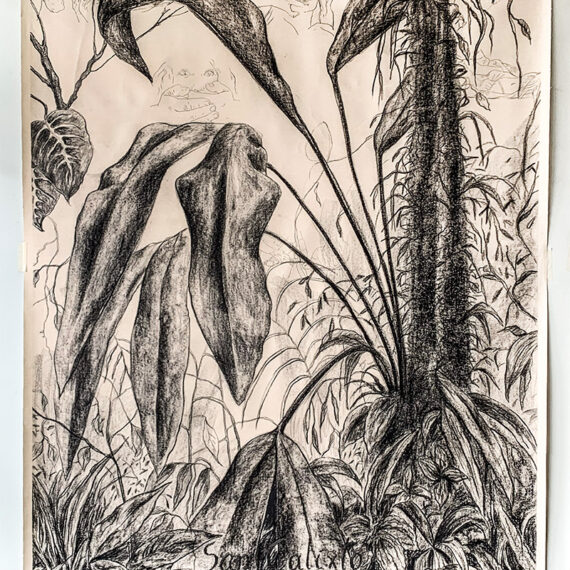Nohemí Peréz (b. 1962, Colombia) San Calixto, 2020 Charcoal and embroidery on canvas