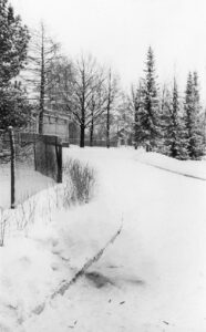 Reynier Leyva Novo (b. 1983, Cuba) From the series A Happy Day: FC No. 13, 2016-20 Ultrachrome imprint, Baryta paper 300g