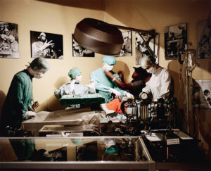 Mikhael Subotzky b. 1981, South Africa Diorama, Chris Barnard Museum, Beaufort West, 2008 Lightjet C-print on Fujicolor Crystal Archive paper