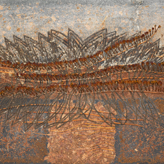 Alberto Arboleda (b. 1925, Colombia; d. 2011, Belgium) Composición marrón, 1983 Mixed media and collage of natural elements on cardboard laid down on wood 31.5 x 43.25 inches