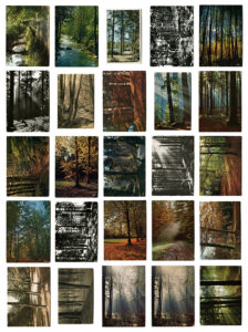 Oriol Vilanova (b. 1980, Spain) Descontrol, 2021 500 tree postcards, 500 magnets Dimensions variable