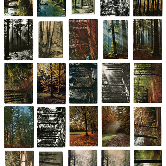 Oriol Vilanova (b. 1980, Spain) Descontrol, 2021 500 tree postcards, 500 magnets Dimensions variable