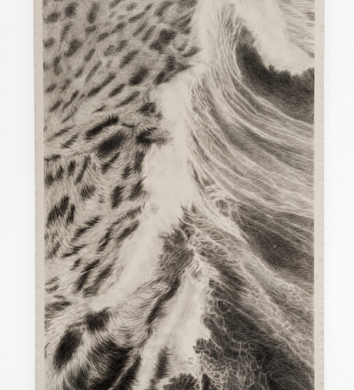 Claudia Coca b. 1970, Peru La piel de mi reino, 2025 Charcoal drawing 114.17 x 62.99 inches