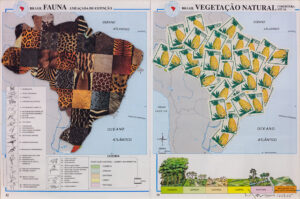 Nelson Leirner b. 1932, Brazil; d. 2020, Brazil Mapas, 2003 Mixed media on paper 16.56 x 11.13 inches