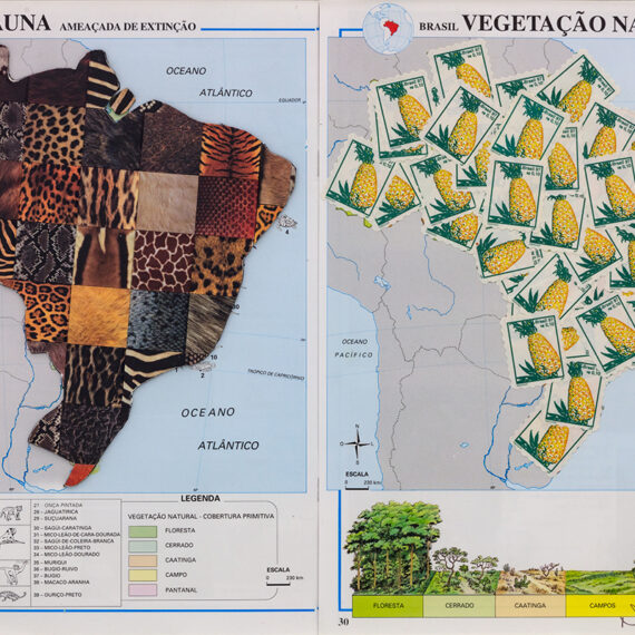 Nelson Leirner b. 1932, Brazil; d. 2020, Brazil Mapas, 2003 Mixed media on paper 16.56 x 11.13 inches