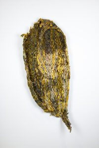 Nnenna Okore b. 1975, Australia Shelter, 2007 Yellow pages, rope, and glue 60.06 x 24 x 10.06 inches