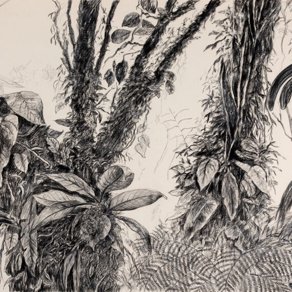 Nohemí Pérez b. 1962, Colombia Panorama Catatumbo, 2018 Charcoal on fabric 70.80 x 196.80 inches