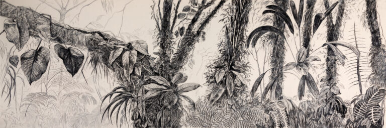 Nohemí Pérez b. 1962, Colombia Panorama Catatumbo, 2018 Charcoal on fabric 70.80 x 196.80 inches